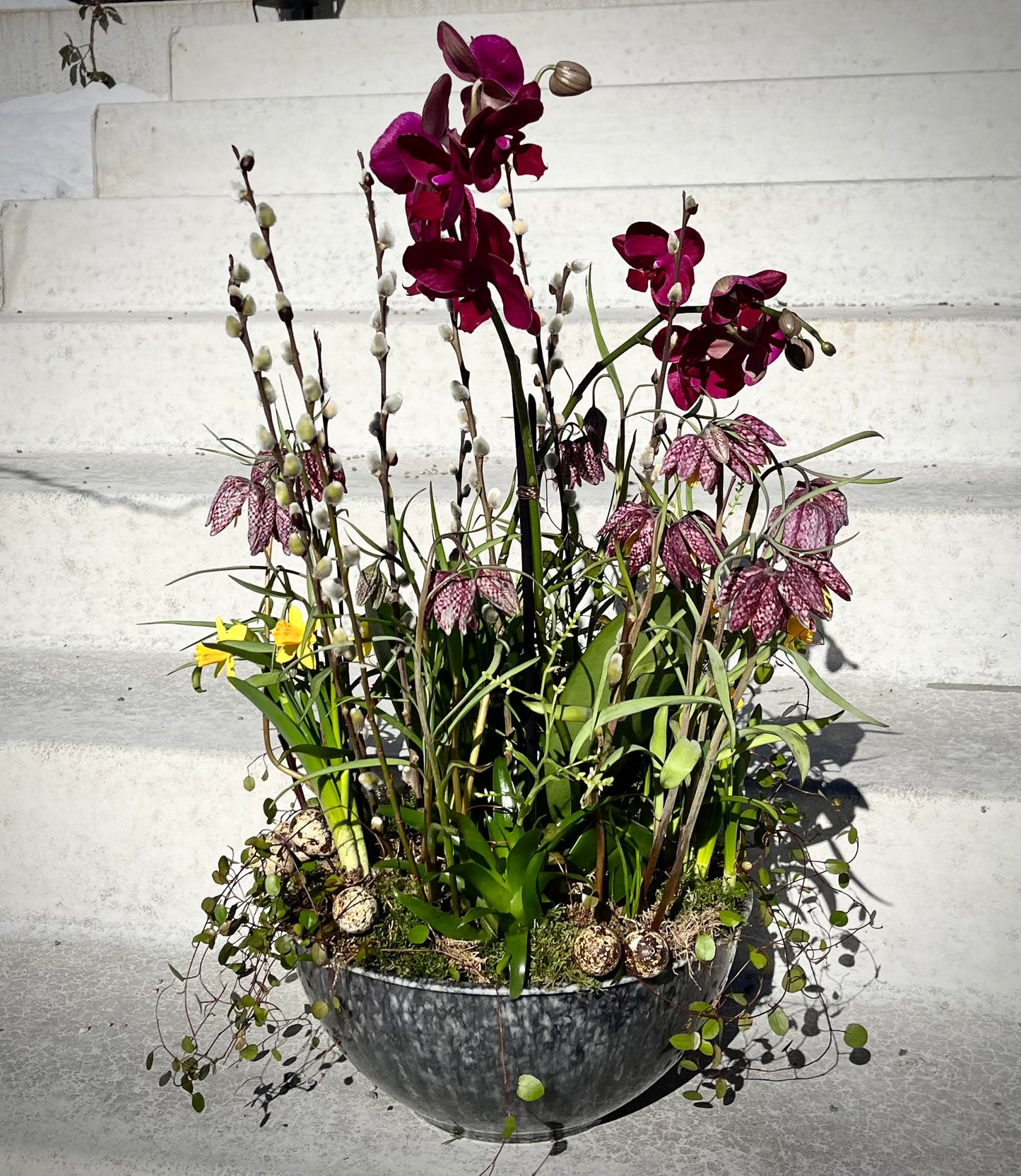 Plantering
