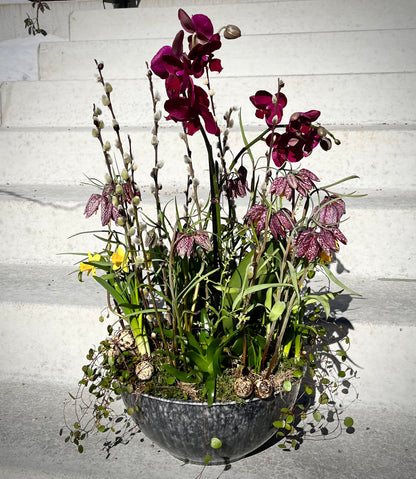 Plantering